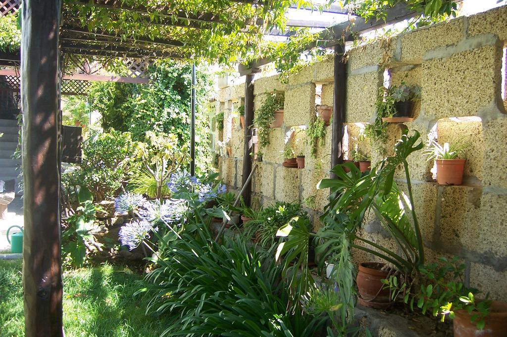 Casa Rural Anton Piche With Pool-Adults Only Granadilla De Abona Luaran gambar