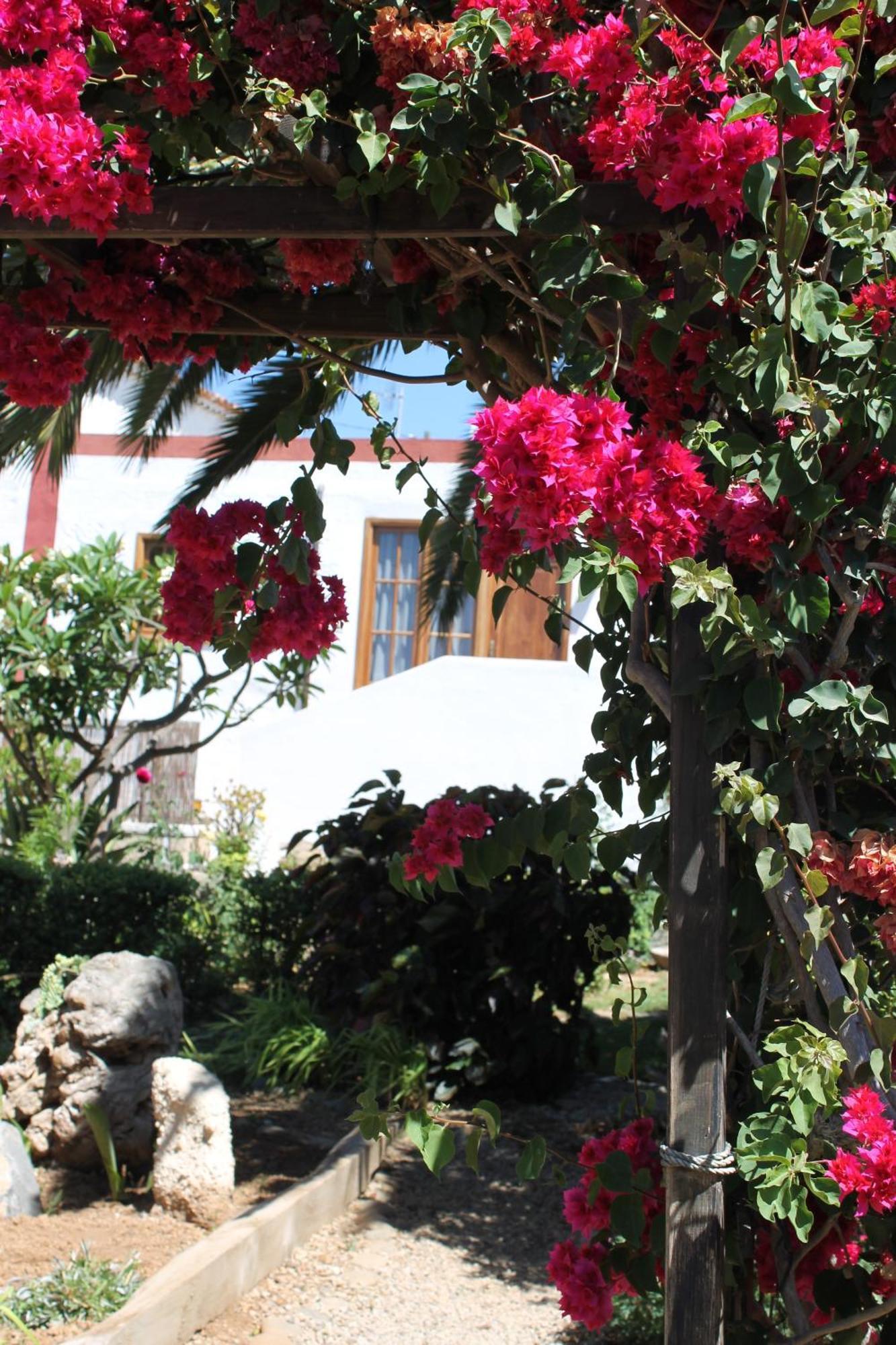 Casa Rural Anton Piche With Pool-Adults Only Granadilla De Abona Luaran gambar