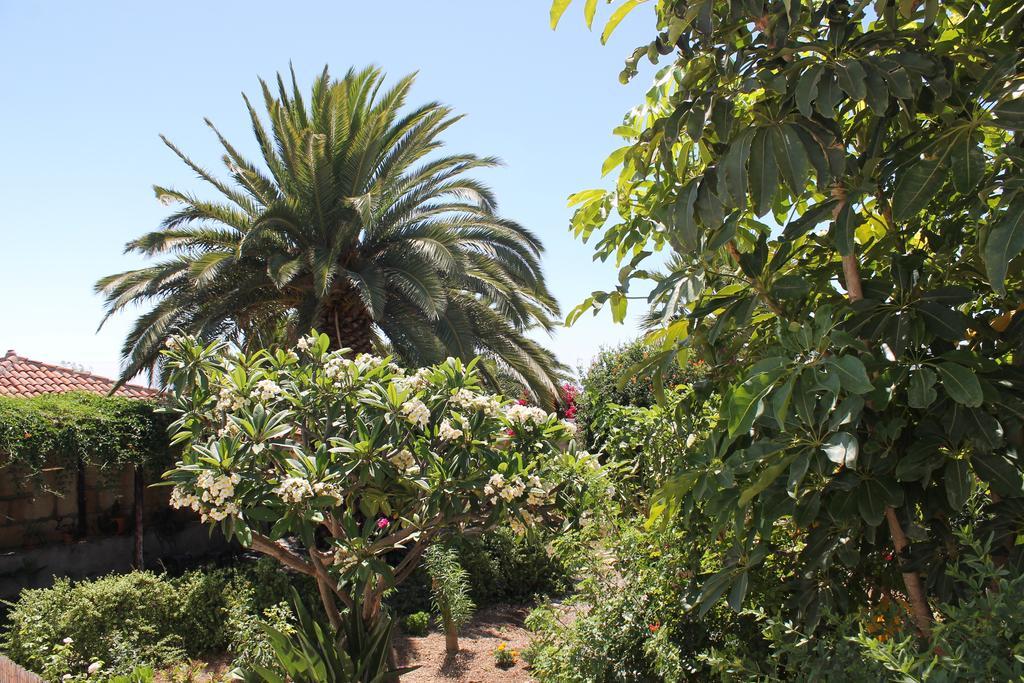 Casa Rural Anton Piche With Pool-Adults Only Granadilla De Abona Luaran gambar