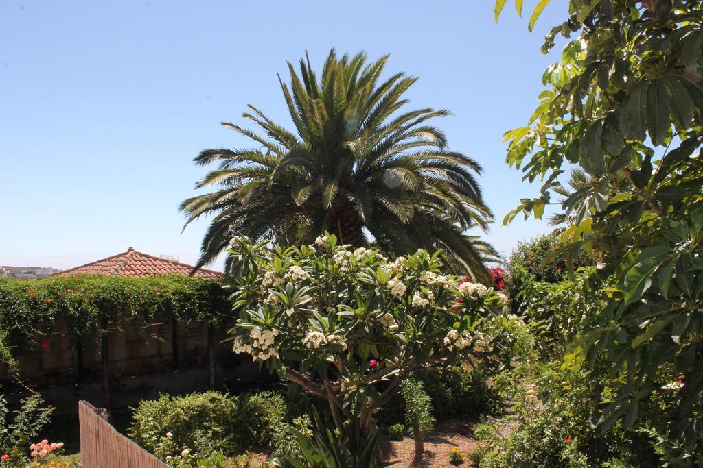 Casa Rural Anton Piche With Pool-Adults Only Granadilla De Abona Luaran gambar