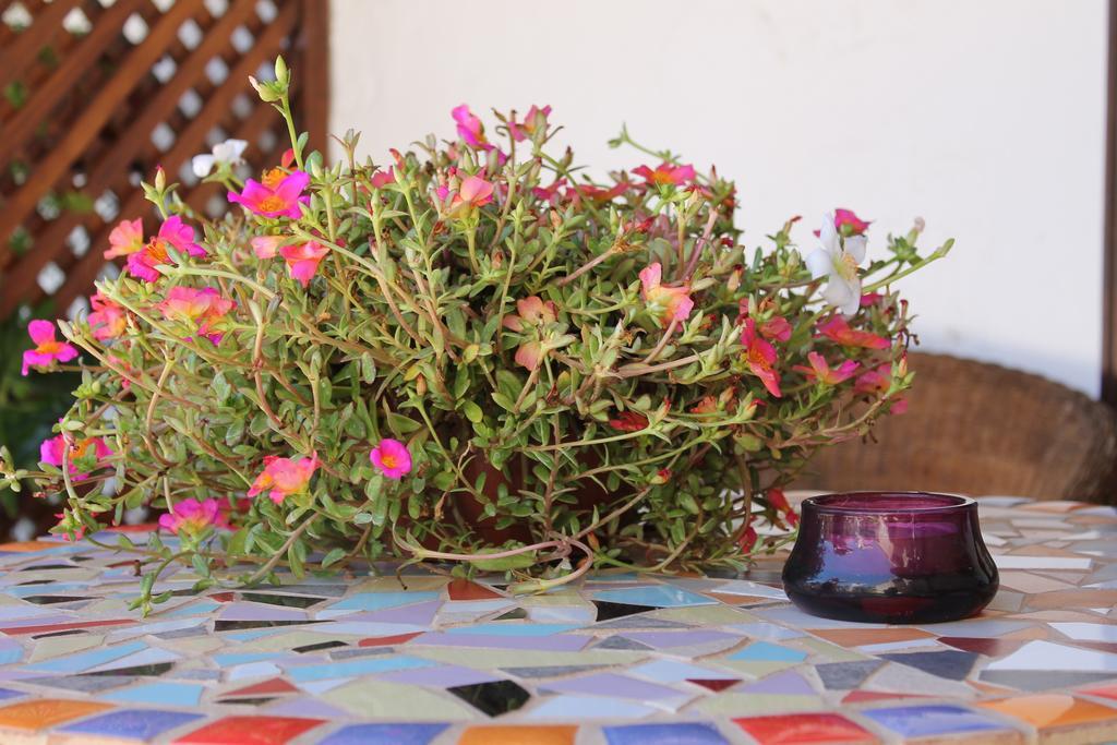 Casa Rural Anton Piche With Pool-Adults Only Granadilla De Abona Luaran gambar