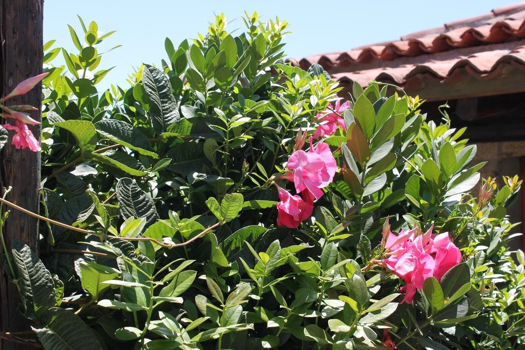 Casa Rural Anton Piche With Pool-Adults Only Granadilla De Abona Luaran gambar