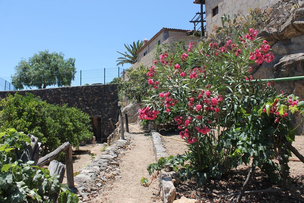Casa Rural Anton Piche With Pool-Adults Only Granadilla De Abona Luaran gambar