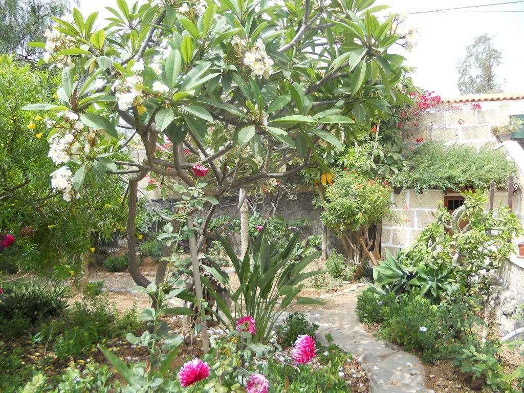 Casa Rural Anton Piche With Pool-Adults Only Granadilla De Abona Luaran gambar